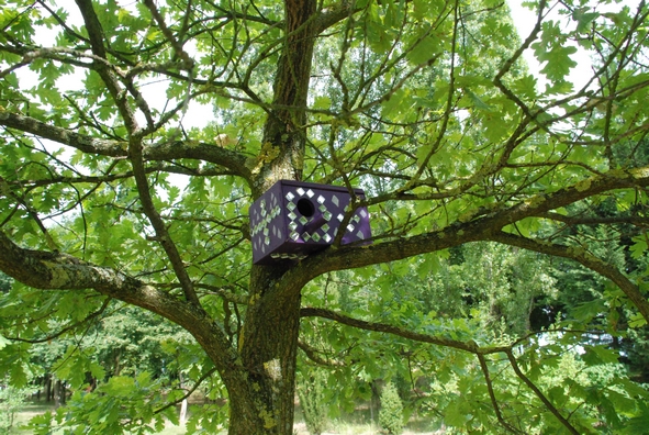 Les nichoirs et les mangeoires au Jardin thérapeutique